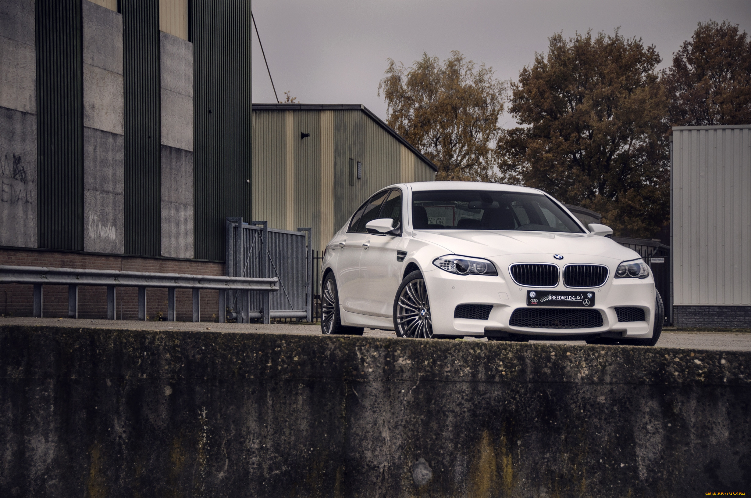 , bmw, m5, , , white, f10, , , , , 